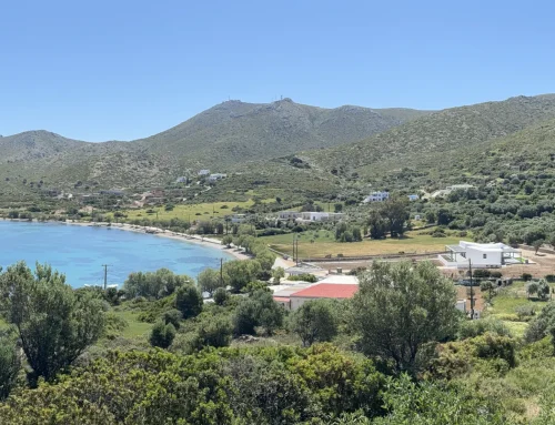 Blefoutis Leros : le massacre d’une merveille